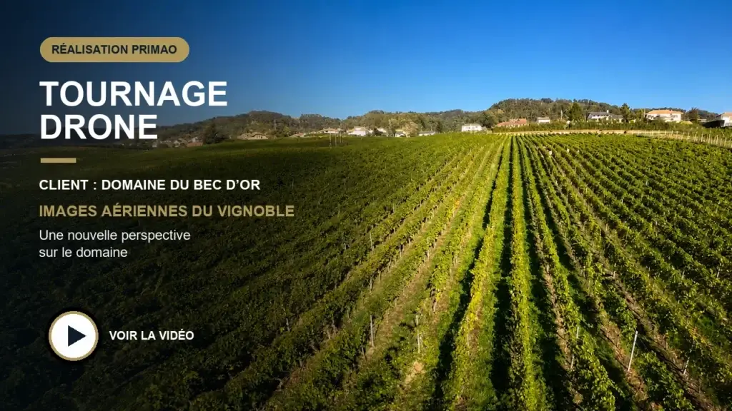 Vignoble du Domaine du Bec d’Or vu par drone dans une miniature de production vidéo PRIMAO